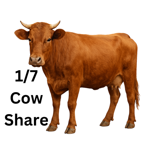 Eid Qurban Cow Share
