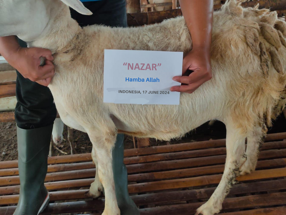 Nazar Qurban